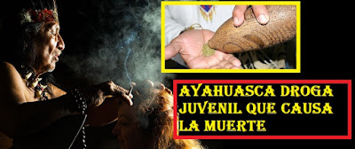#Ayahuasca #DMT la nueva droga que se ofrece a los jóvenes y puede llevar a la muerte #Katecon2006